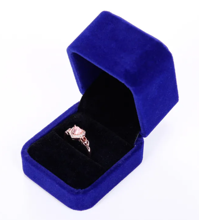Luxury Jewelry Box for Rings & Earrings