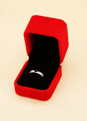 Luxury Jewelry Box for Rings & Earrings