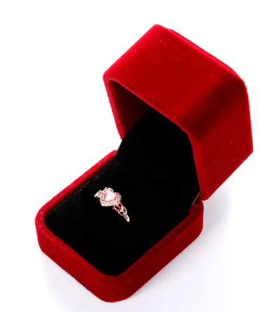 Luxury Jewelry Box for Rings & Earrings